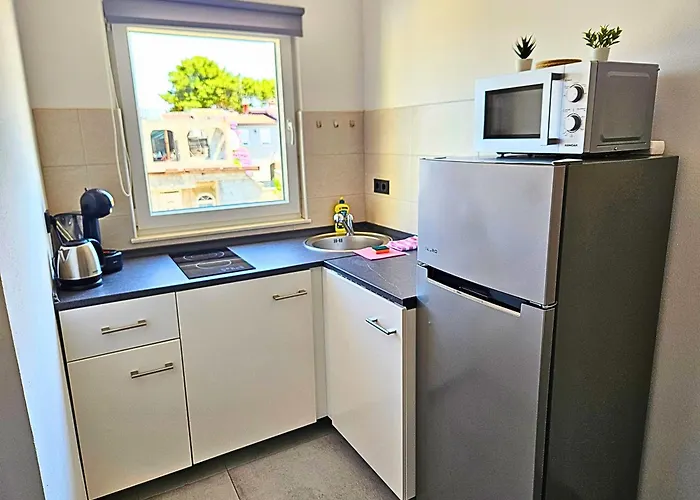 Dalmara Prezida * Vir