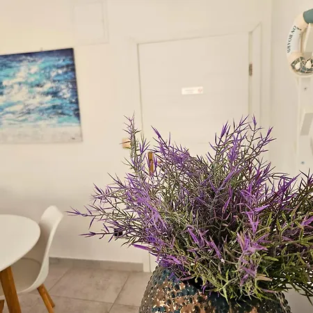 Mala Smokva Prezida Apartman Vir